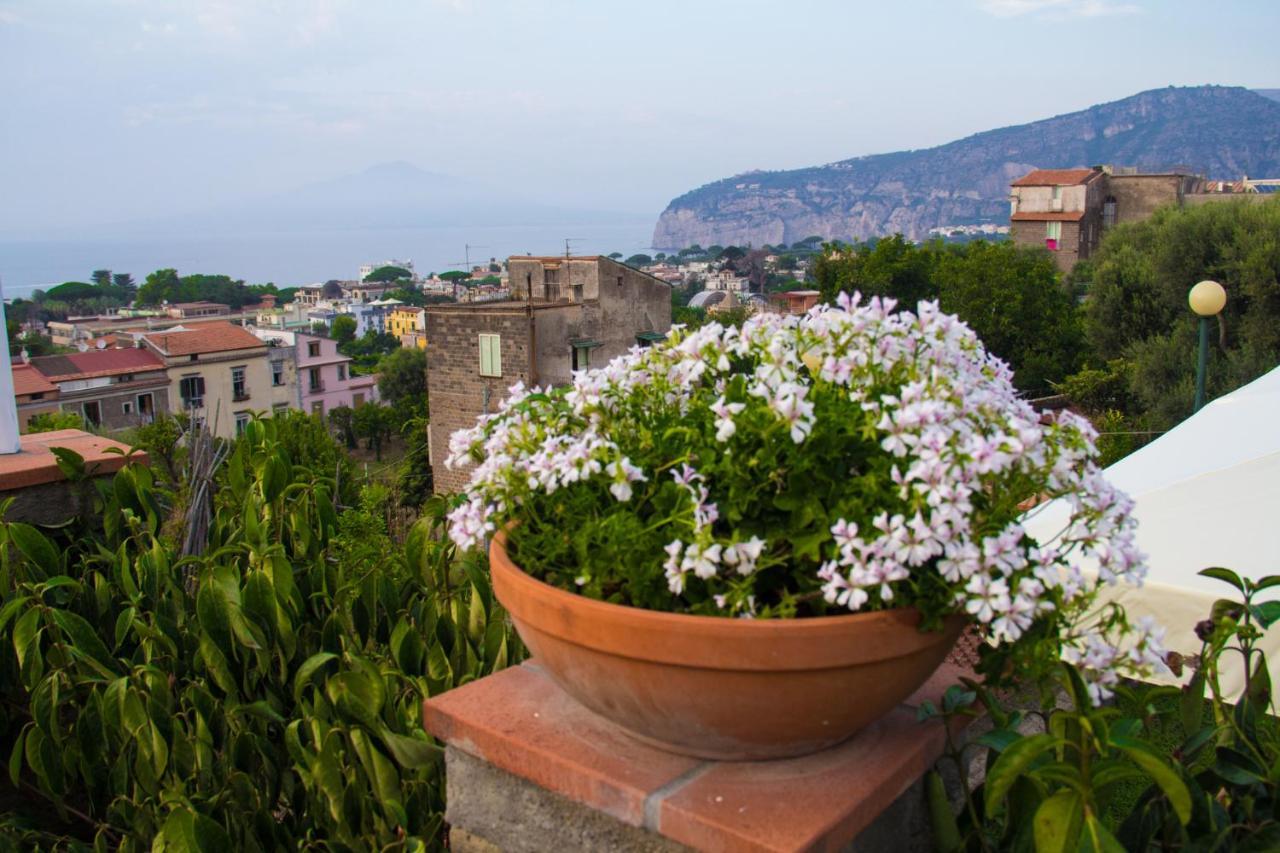 Shanti Home - Restaurant Di Aversano Salvatore Sorrento Eksteriør bilde